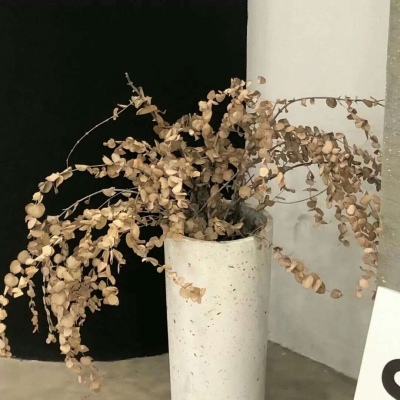 兽设雨夜场景绘制兽圈群